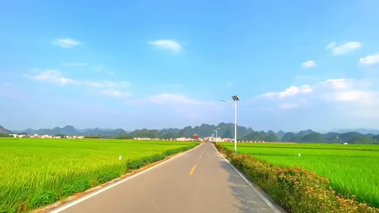 The field