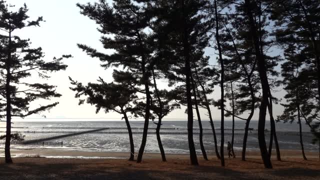 At low tide, the sea is quiet.