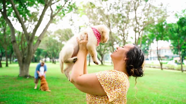 Dogs pupy and nairya auntie loving kish dog pupy playing field