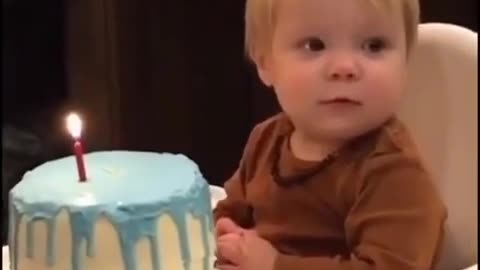 funny videos интересные видео
