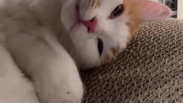 Rest