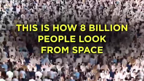 8 miliard people