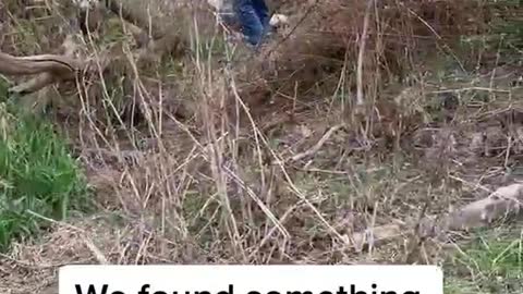 We found something while we were fishing