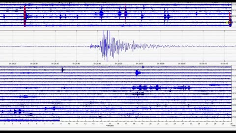 June 8 Yellowstone Earthquake Report, Bison and Un-Reported Quakes