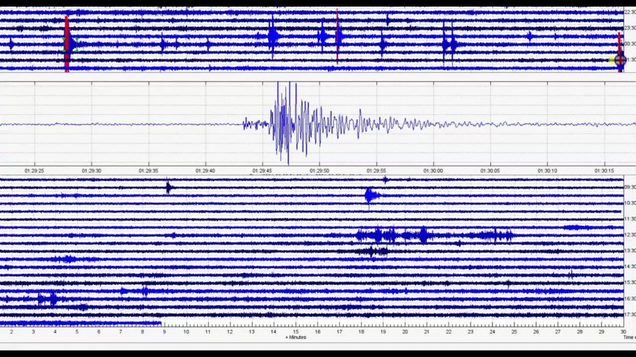 June 8 Yellowstone Earthquake Report, Bison and Un-Reported Quakes