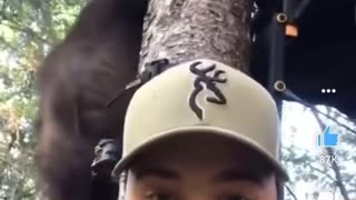 Crazy vision
