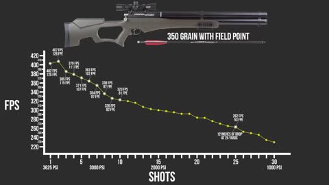 Cool PCP Archery rifle!!!