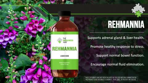 One Herb That Helps Suppress The Autoimmune Response