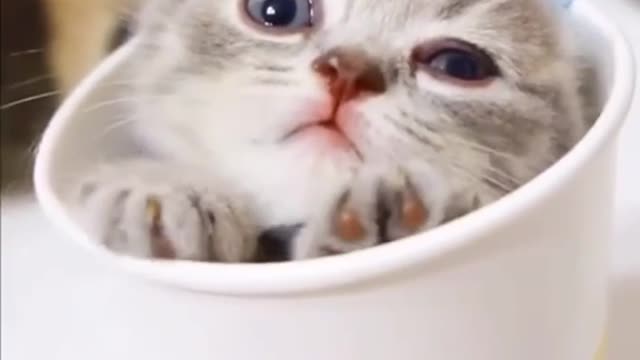 A miracle in a glass