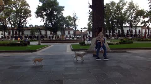 Plaza Grande