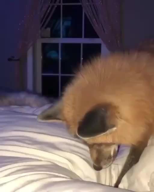 Hey what’s wrong with this snow? 😂