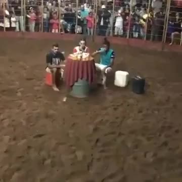 Not your typical bull video...