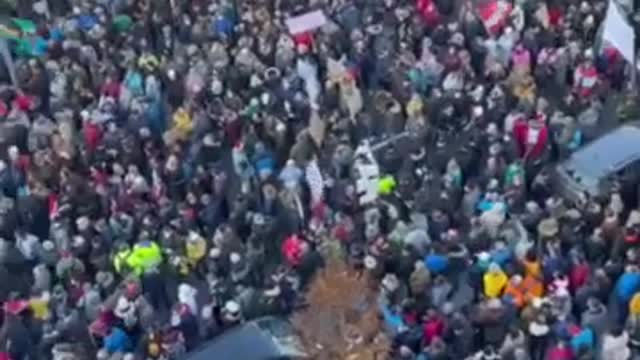 Tausende bei DEMO in Linz