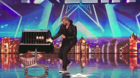 Darcy Oake's jaw-dropping dove illusions | Britain's Got Talent