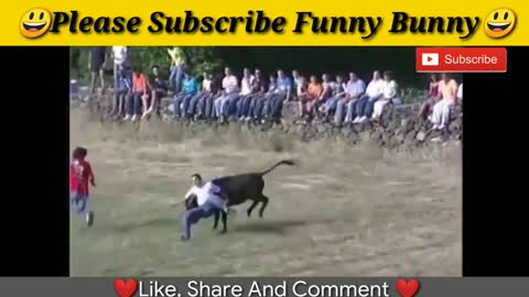 funny video craze