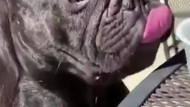 A day in the park!!!