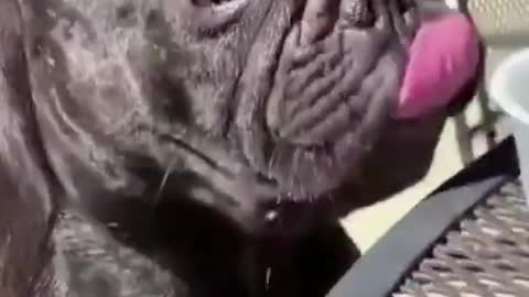 A day in the park!!!