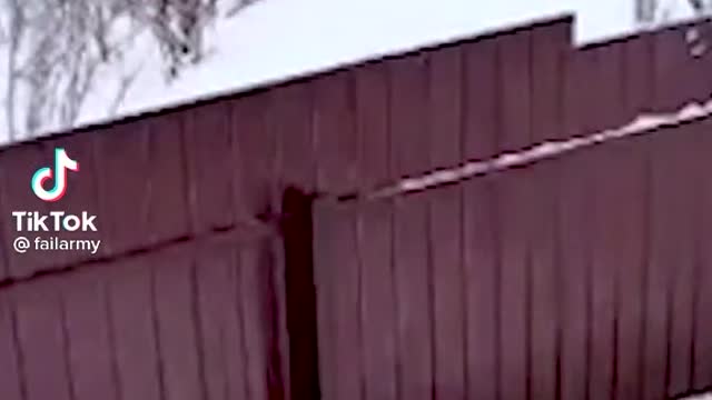 Funny Tiktok That Will Make You Laugh Part 13