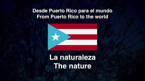 Desde Puerto Rico para el mundo / From Puerto Rico to the world