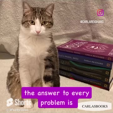Cat & books = The answer to many problems #CatShorts #CatAndBooks #RelieveStress
