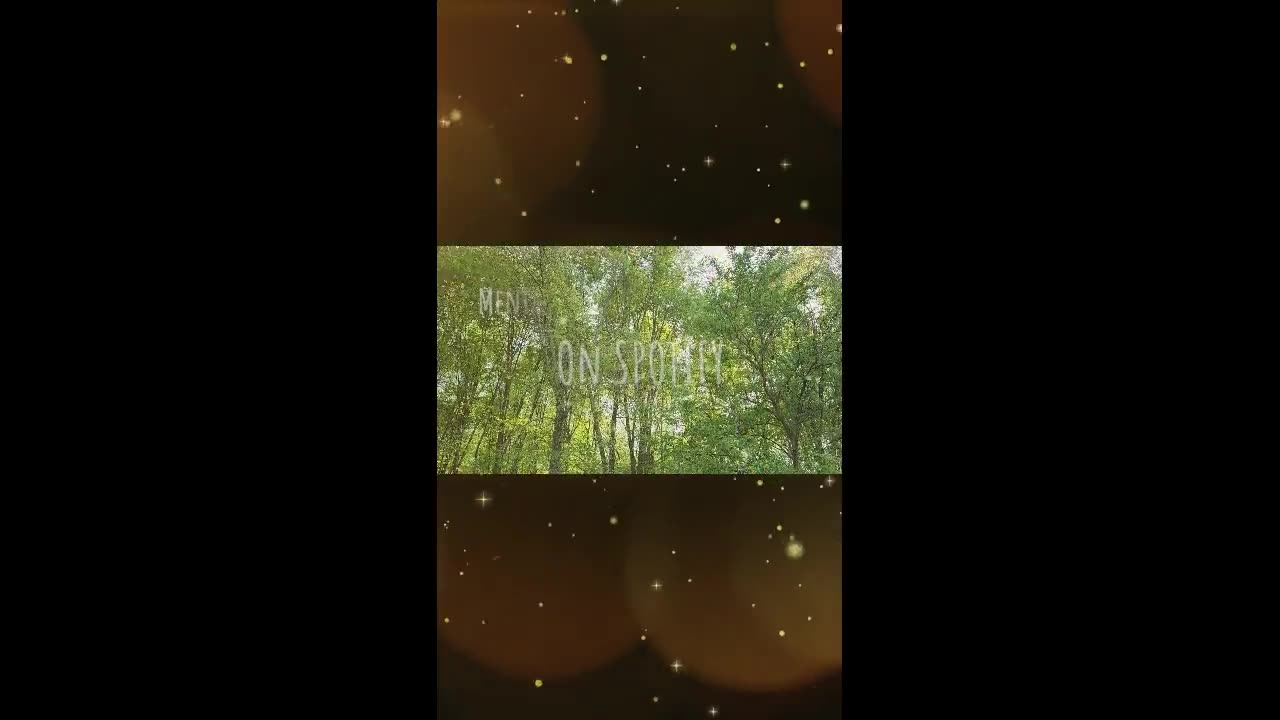 Out of the Forest
