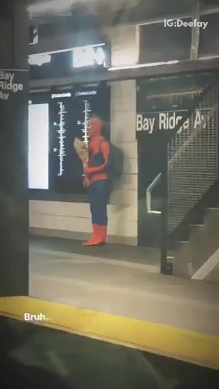 Spiderman backpack guy waiting subway station flowers bay ridge