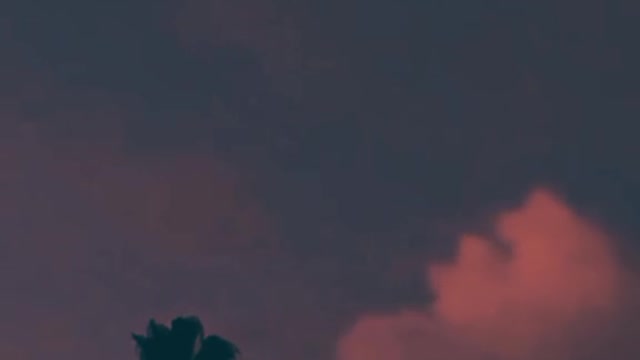 Relationship Facts #23