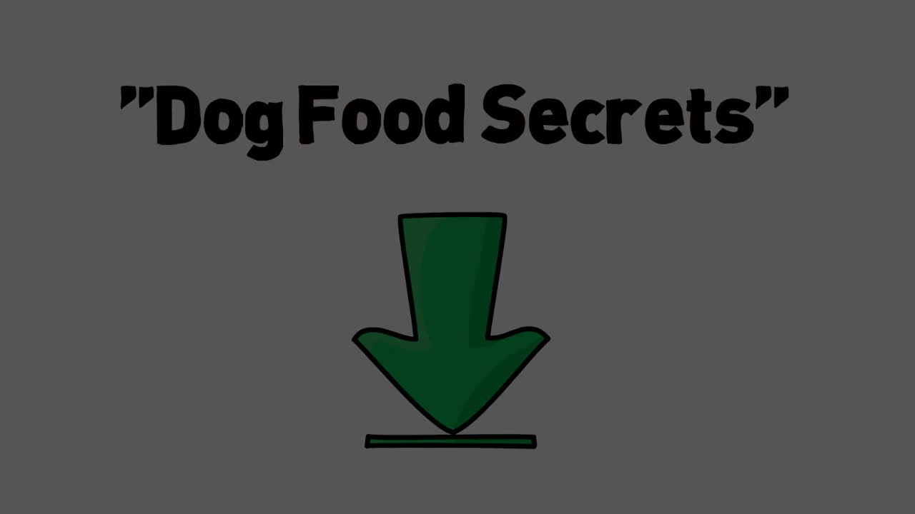 Secret for good health for Dog( home made )