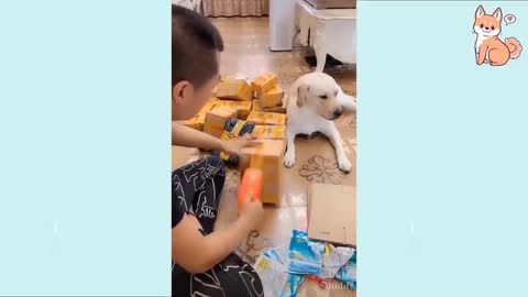 You will laugh at all the DOGS 🤣 Funny DOG Videos 😂🐶