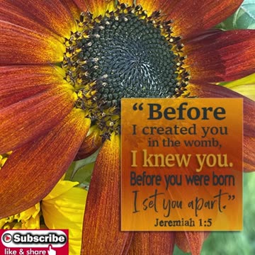 Morning Prayer to Set US Apart #youtubeshorts #jesus #grace #mercy #faith #blessed #fyp #love #trust