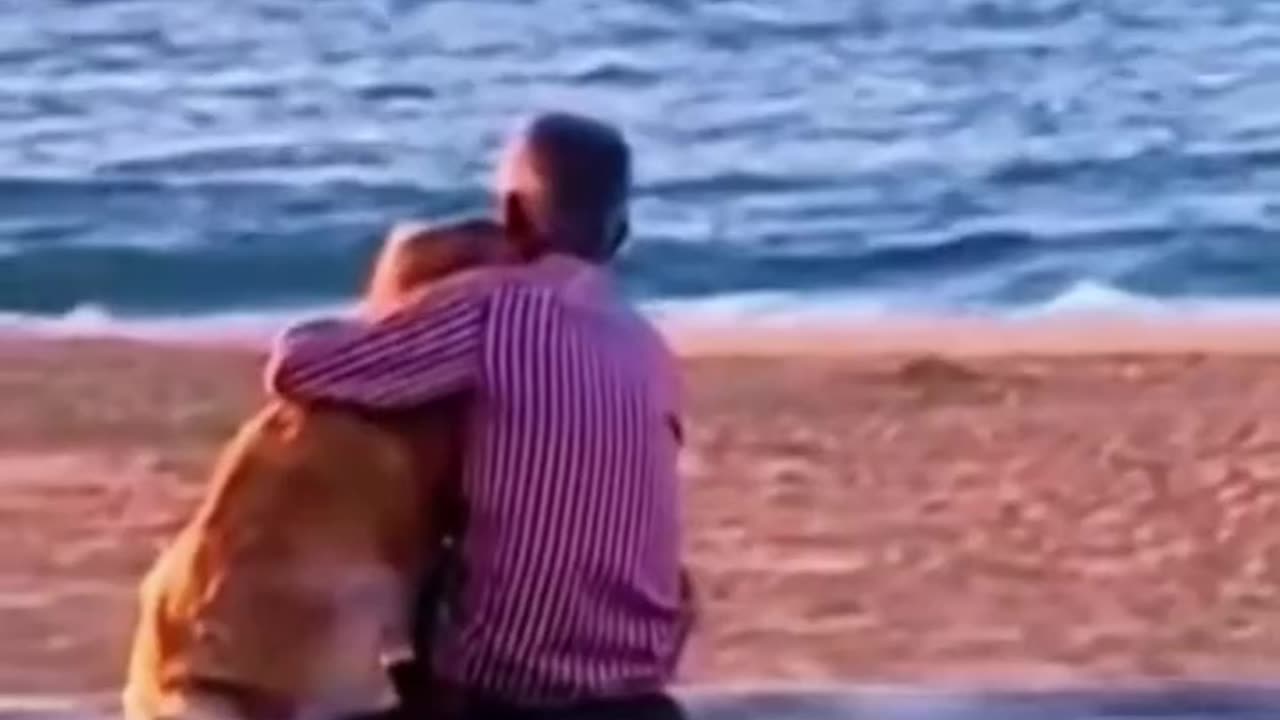Animals and humans respect each other in the most beautiful way || MikaKalafe