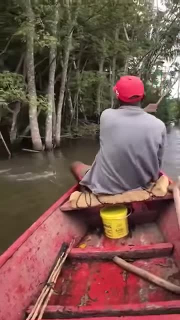 Câu cá phải khuấy động mới bắt được cá to!