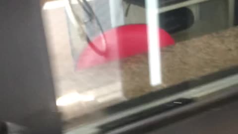 Puffi ciuff ciuff 🚂 Reggio Emilia story 10 di 17 15/11/2020