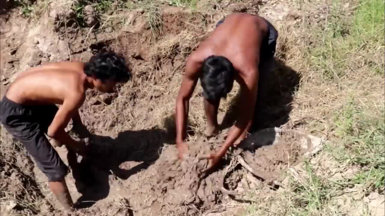 Rescue Fish From dry Up Place & Build Fish Pond Around Puppy's Villa