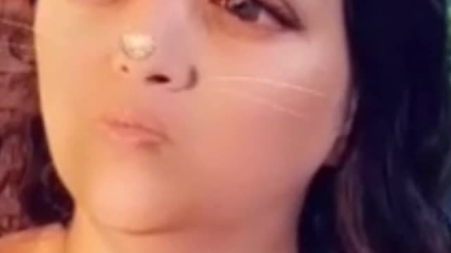 funniest cats saying their owner didn't lose weight