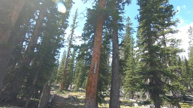 Uinta Highline Trail 2020, Day 2