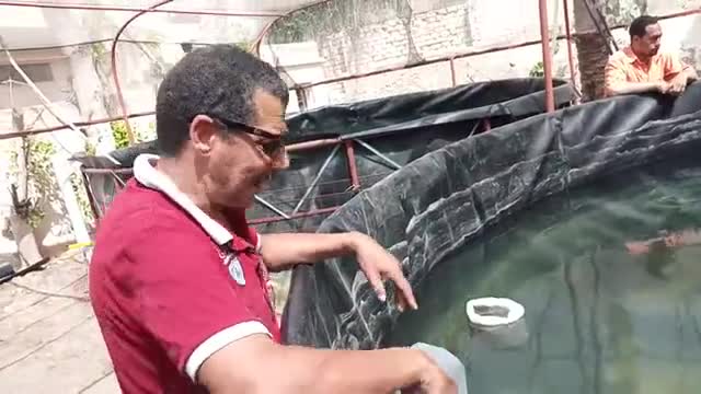 Ecuadorian ponds bomb intensive fish farming