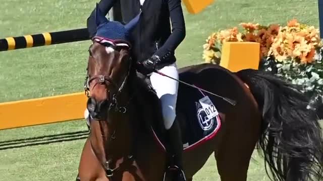 Start equestrian training