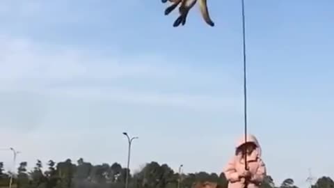 Flying Dog! Chinese dog trainer's work