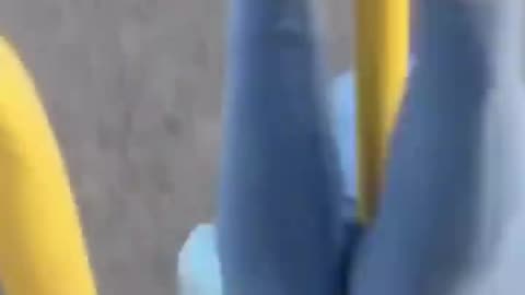 The end 🤣==funny fails