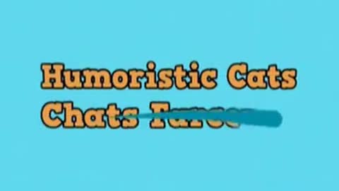 Humoristic Cats 😹 Chats Farceurs - n°300 #Shorts
