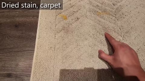 BISSELL Little Green Multi-Purpose Portable Carpet