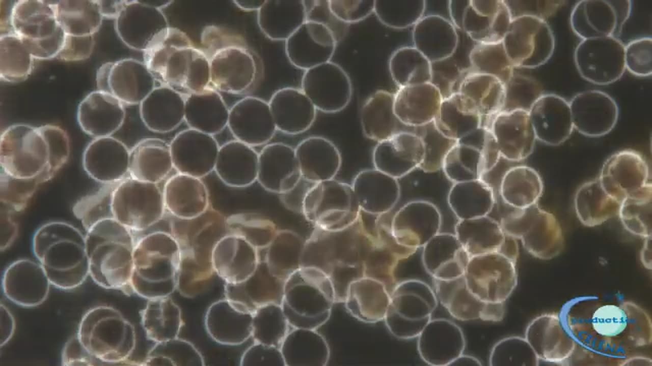 Vision médiumnique du Cerveau Vibratoire Quantique