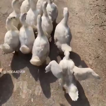 Positivity Your Secret Weapon?