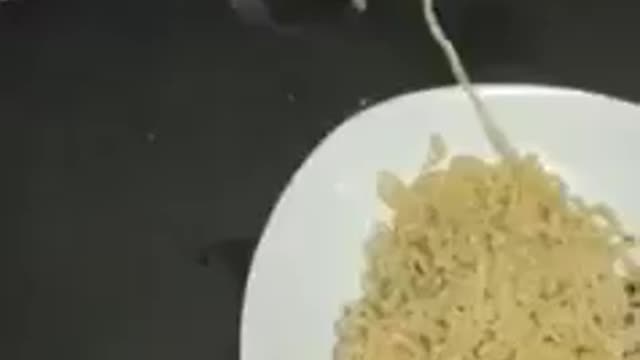 Funny Mouse Caught By His Teeth With Noodles