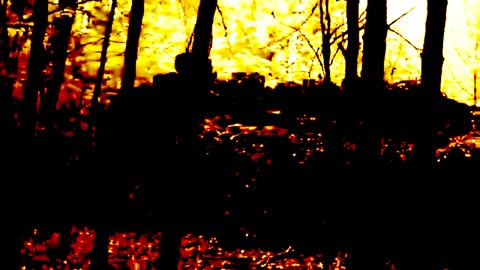 Kononowicz - Morderca z Warmii [CREEPYPASTA]