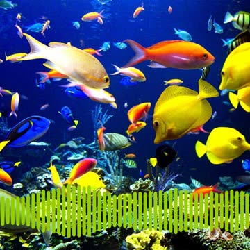 dotpaw podcast - Oceans- Going Live 10/05/23 6AM CT