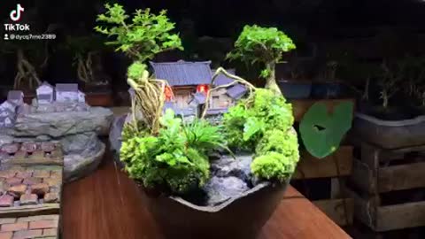 Terrarium tank