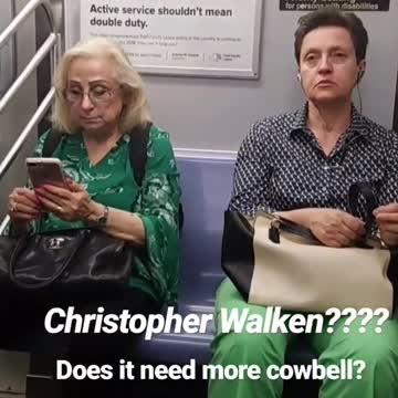Woman sitting on subway looks like christopher walken