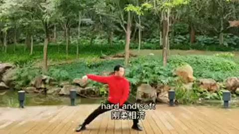 #THE ART OF TAICHI AND ITS PHILOSOPHY